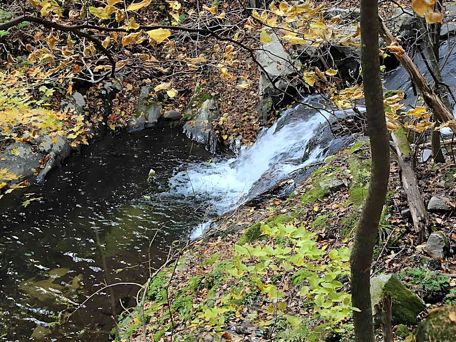 Daegwalnyeong Sanbang