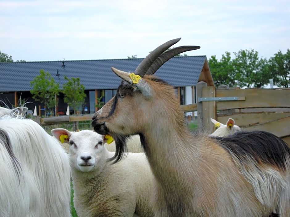 Fruitpark Hotel & Spa