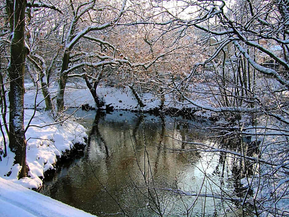 The Dog and Partridge