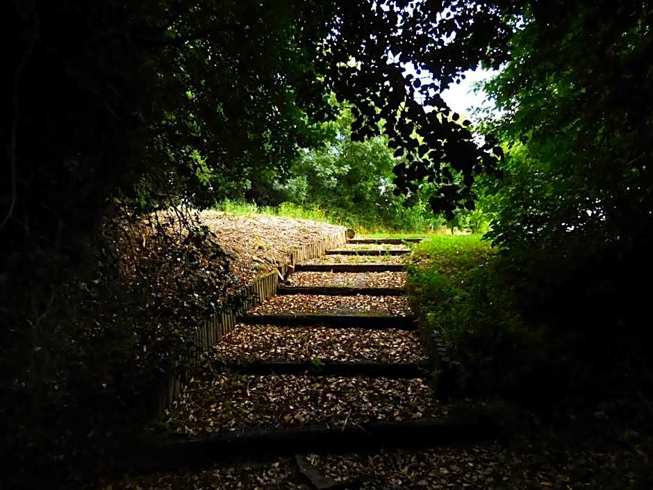 Ash House Bed and Breakfast