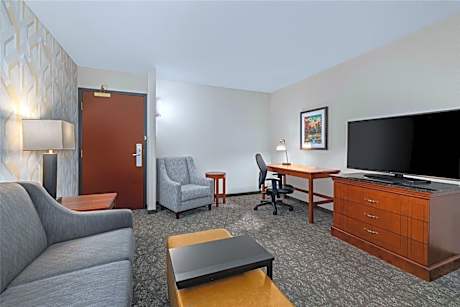 Queen Suite with Sofa Bed