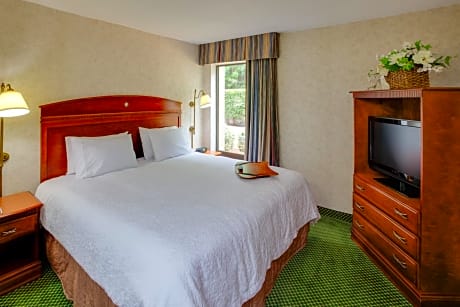 Hampton Inn Chester