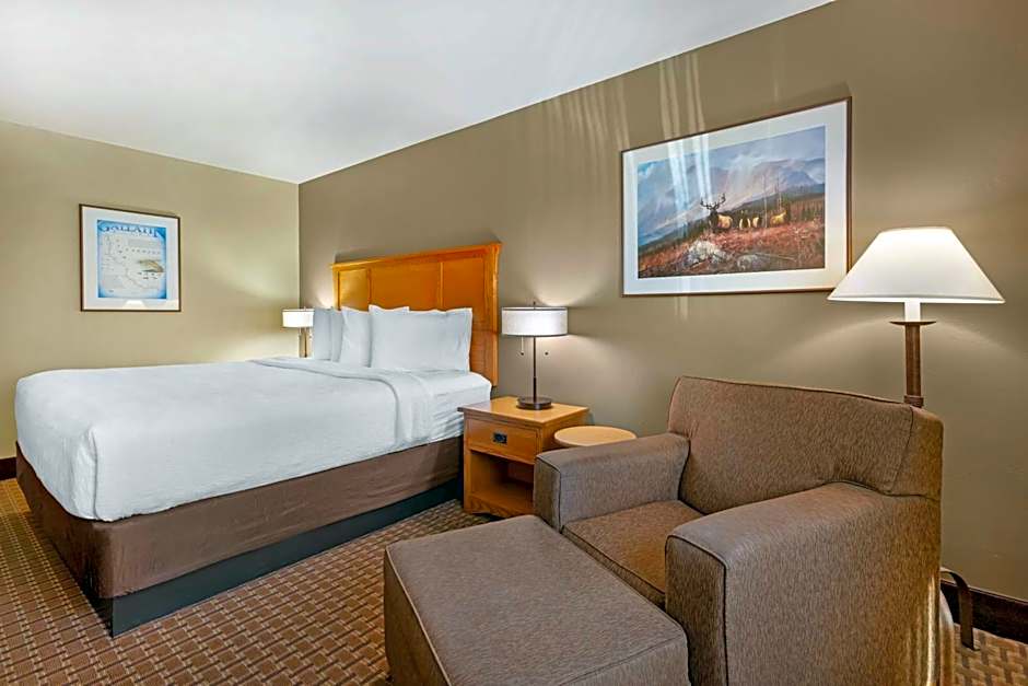 Best Western Plus Gran Tree Inn