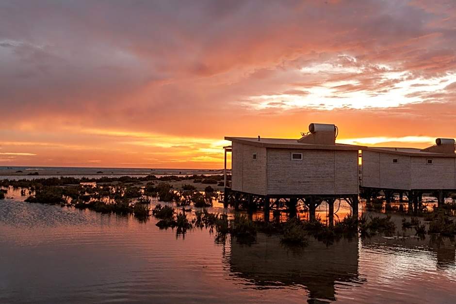 Océan Vagabond Lassarga