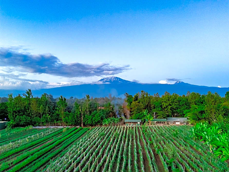 Shose Farmhouse Chalets & Campsite