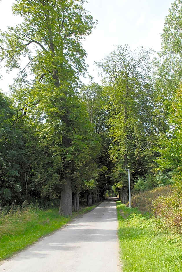 Hotel Restaurant La Ferme de Grambais