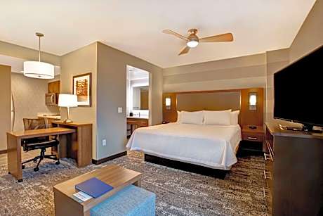 1 King Bed Studio Suite