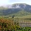 Beacon Vlei Guest farm