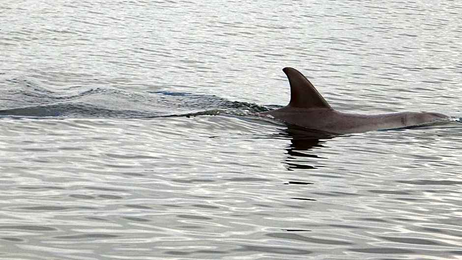 Australind Tourist Park