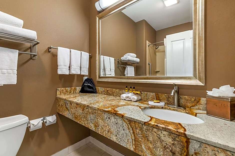 Best Western Plus Lytle Inn And Suites