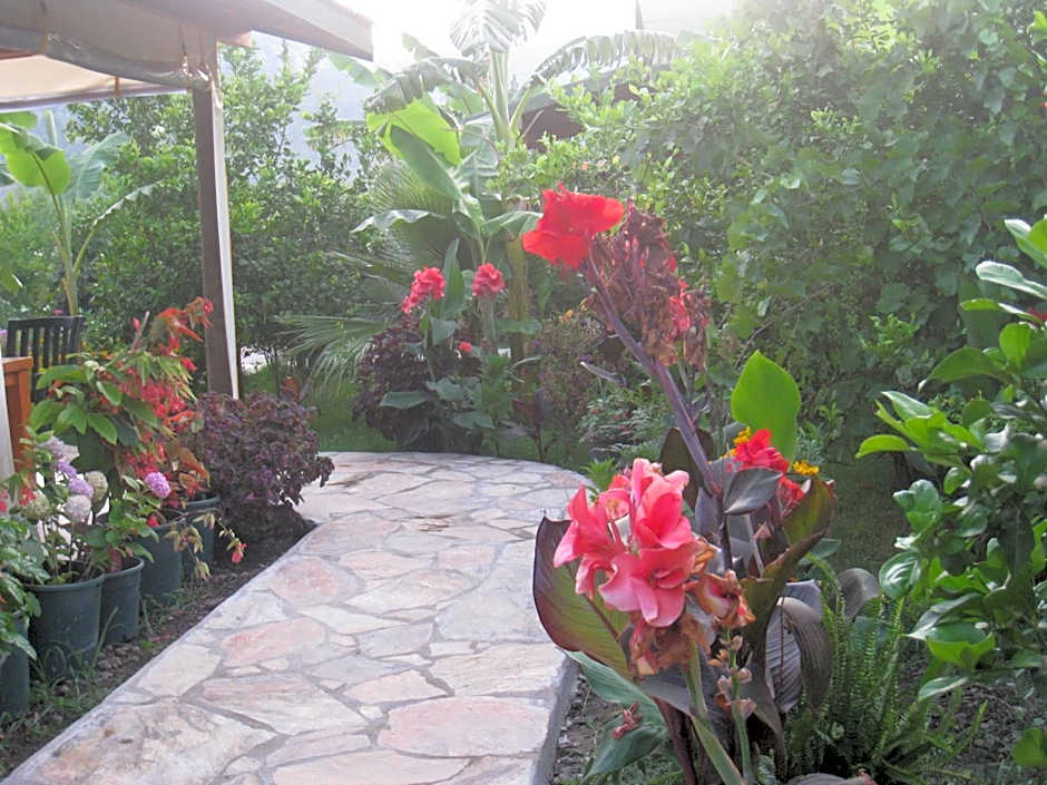 Cirali Armira Bungalow