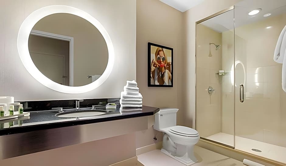 The Chicago Hotel Collection Magnificent Mile
