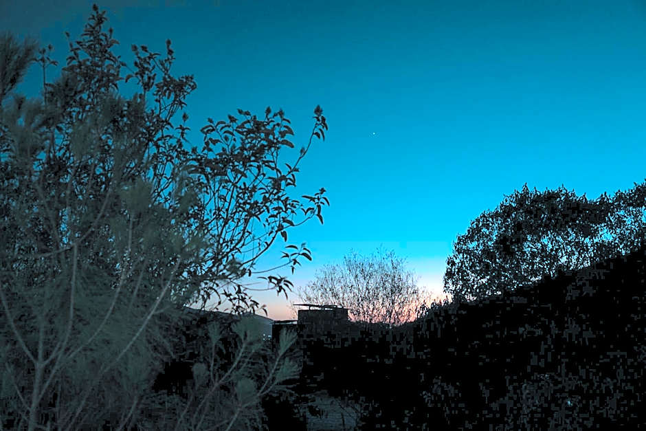 Encuentro Guadalupe
