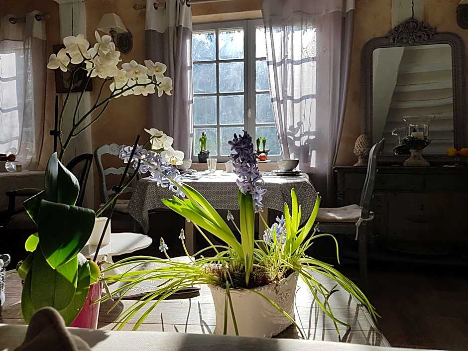Le jardin de Saint Jean