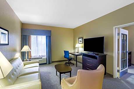 One-Bedroom King Suite - Non-Smoking