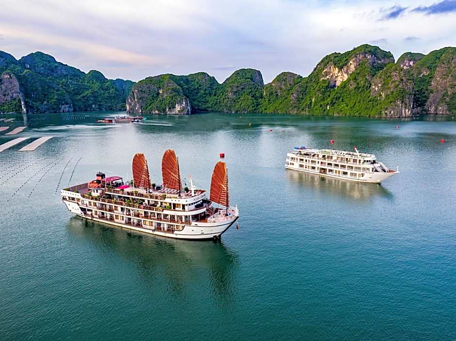 Alisa Premier Cruise