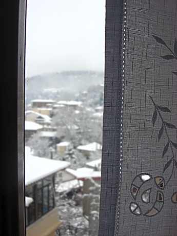 Double Classic Mountain View