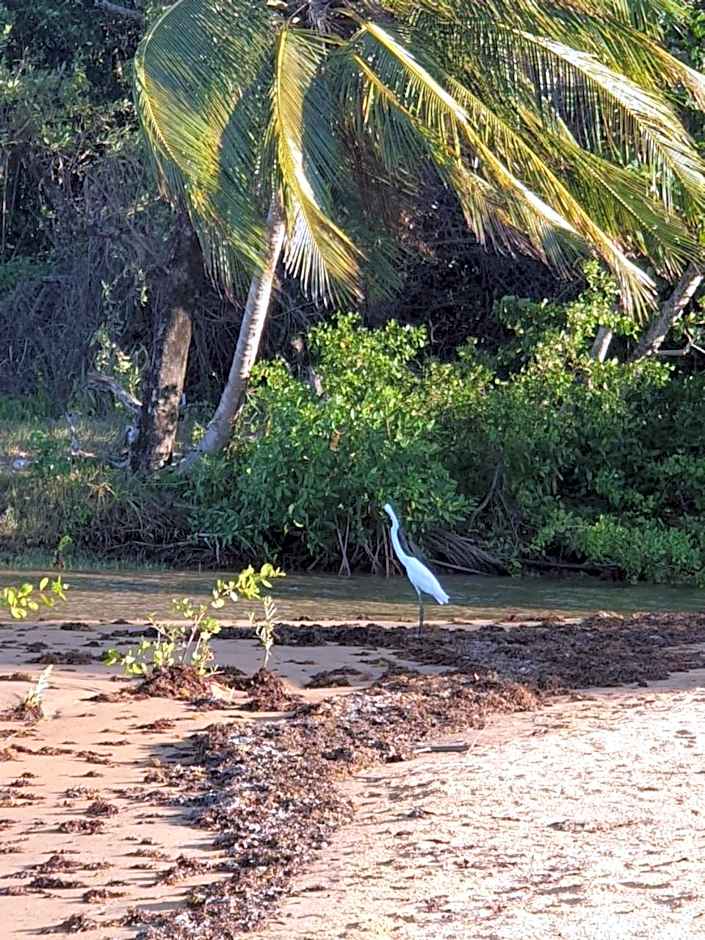 Ma Chambre d’Hôte