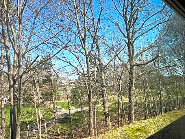 Arbor Inn Motor Lodge - Weymouth