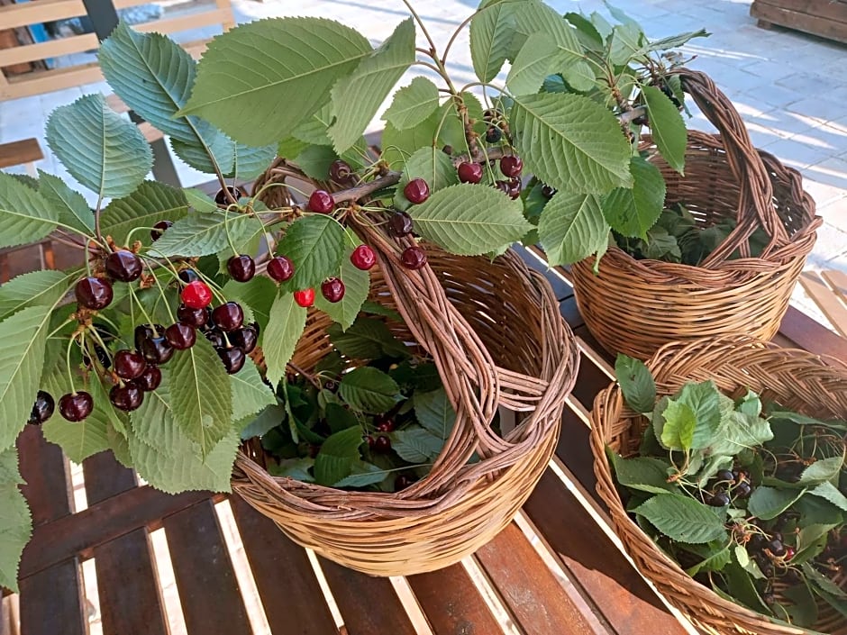 La casa dalle finestre blu