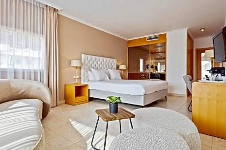 Junior Suite with Terrace