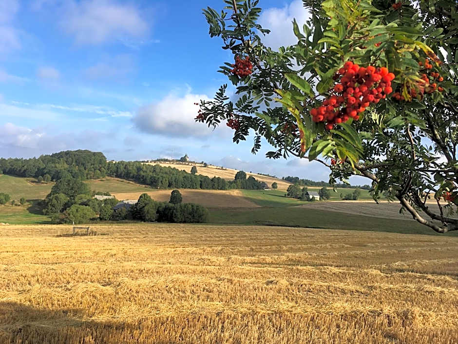 Hotel Dachsbaude & Kammbaude