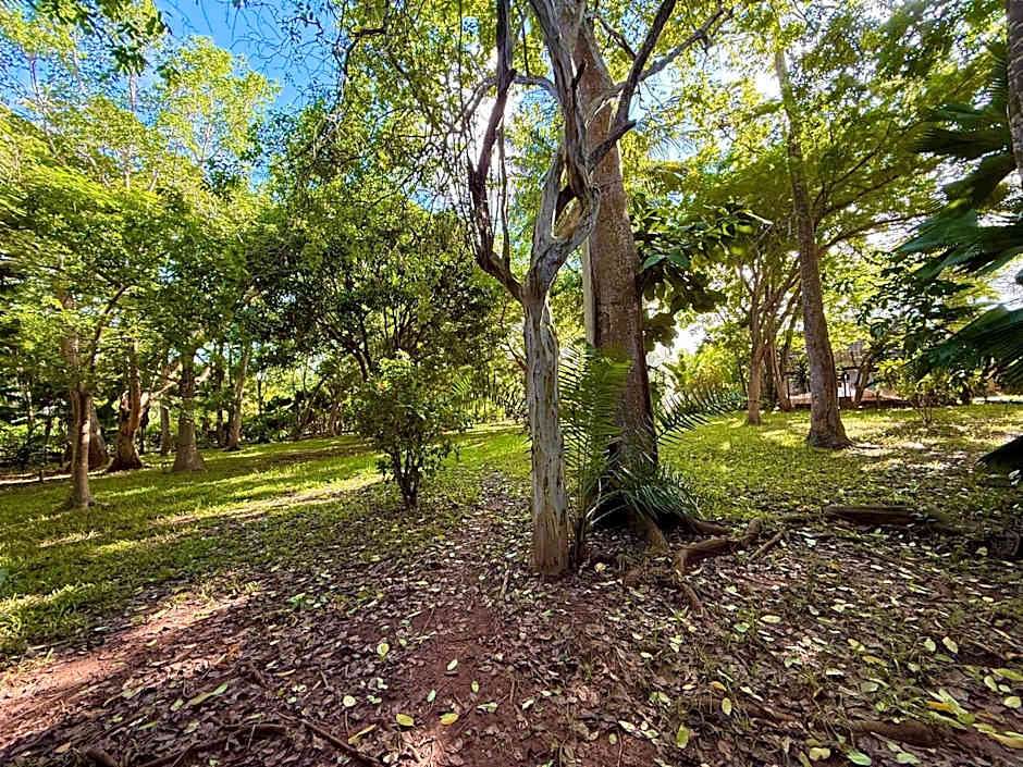 Galu Ecolodge - Diani Beach