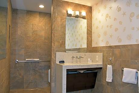 Palm Accessible Suite