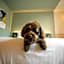 The Rebyl, Nijmegen, a Tribute Portfolio Hotel