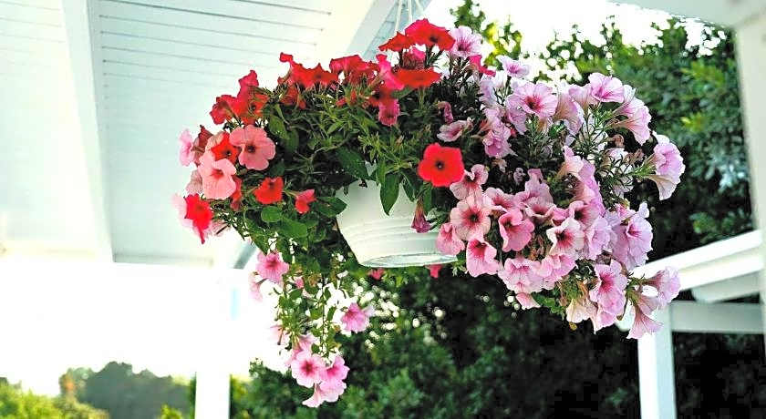 Benjamin Otel Gumusluk