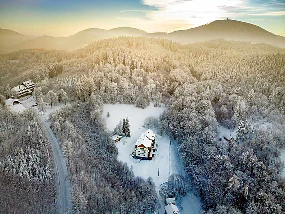 Hotel Edvard