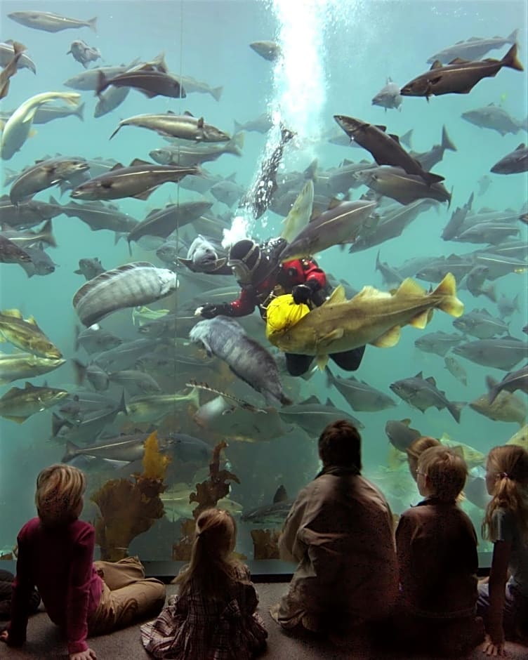 First Hotel Atlantica