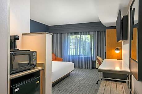 1 Queen Room - Mobility Accessible - Roll in Shower