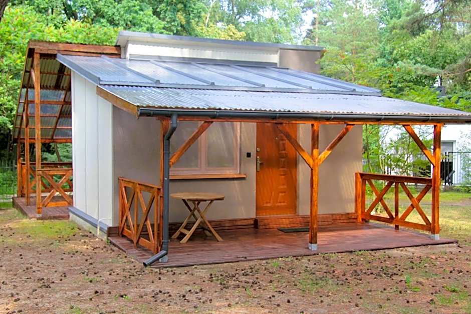 Sosenka Zaniemyśl