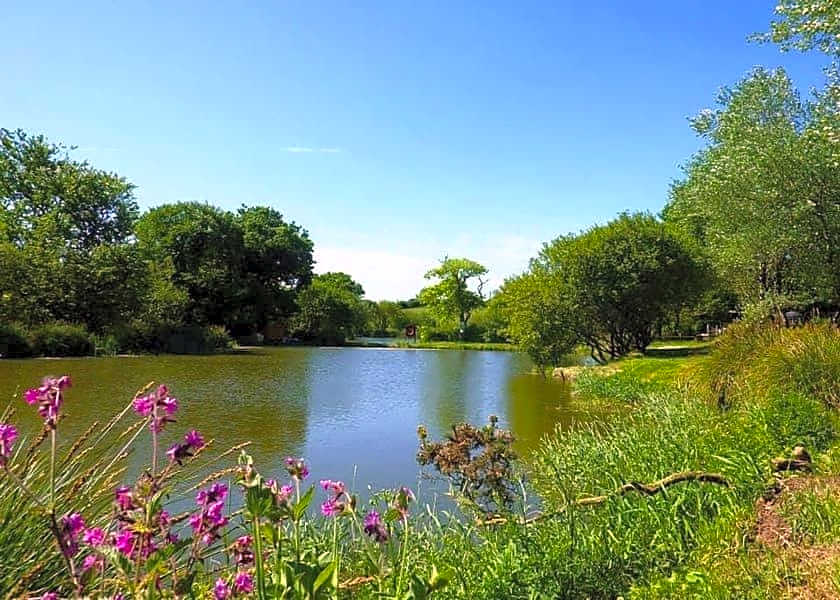 Luxury 6 Bed Lodge with Hot Tub