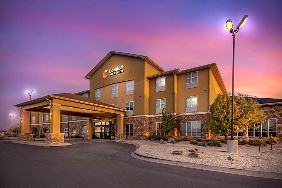 Comfort Inn & Suites Artesia