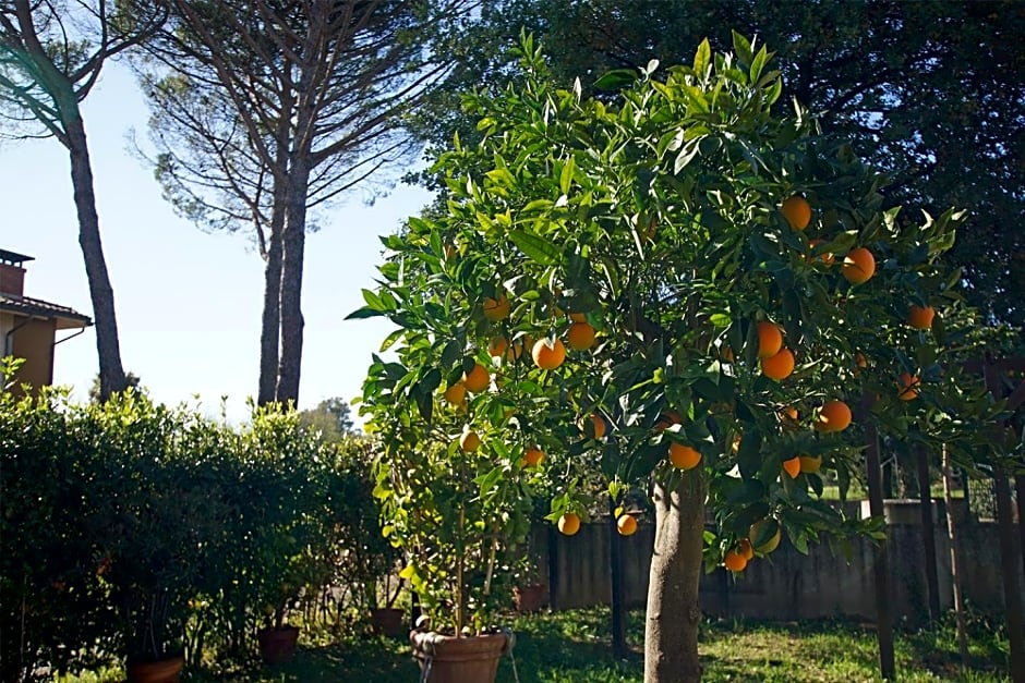 Bed & Breakfast Bel Giorgio – Castelfranco di Sotto, MN