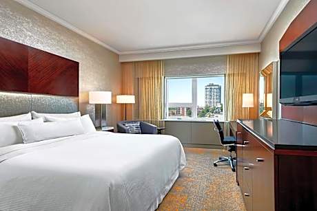 Traditional, Guest room, 1 Queen