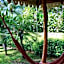 Ciudad Perdida EcoLodge