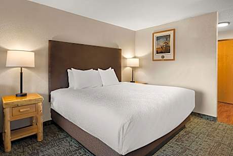 1 King Bed Non-Smoking Sitting Area Microwave And Refrigerator Flat Screen Television Desk Full Brea