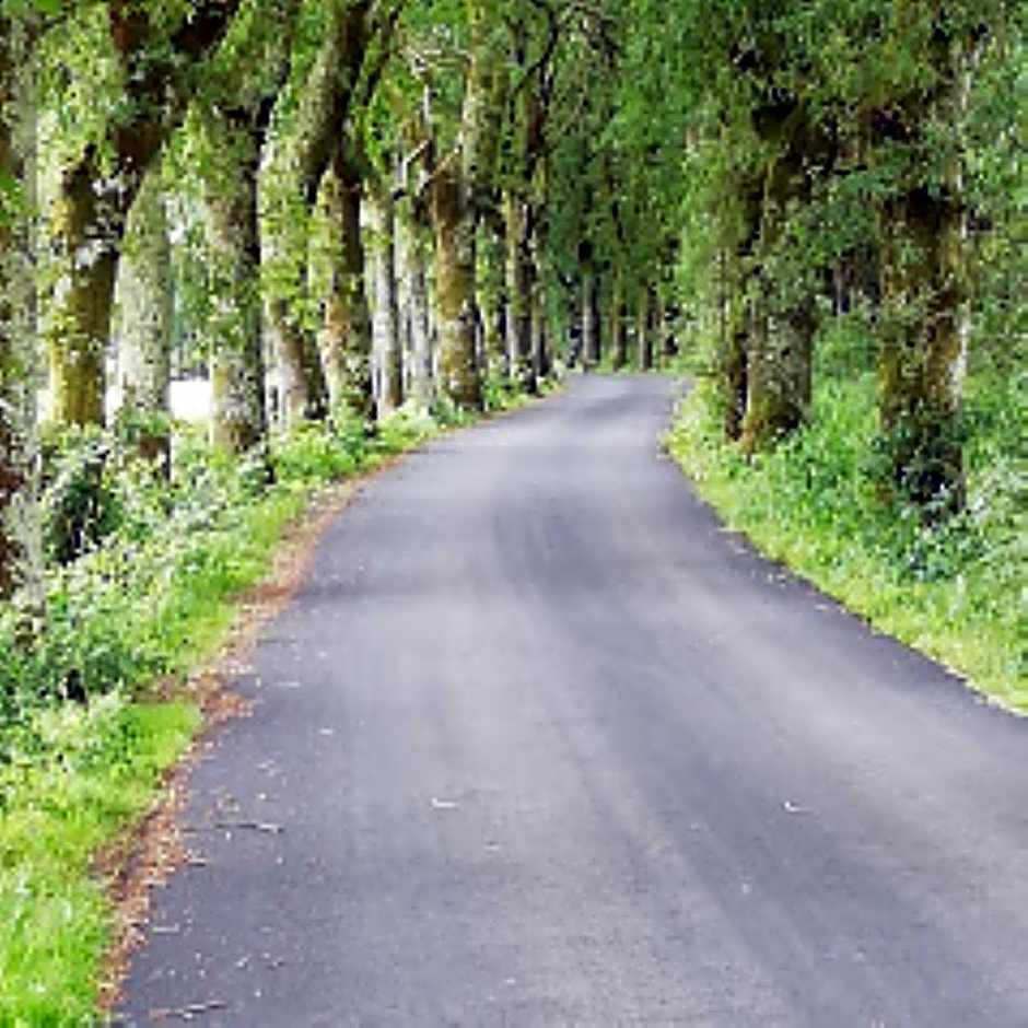 Lar da Mota Boutique Hotel