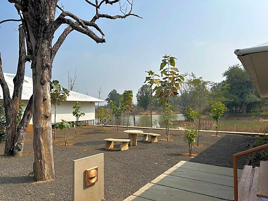 Tree of Life Ramvilas, Bandhavgarh