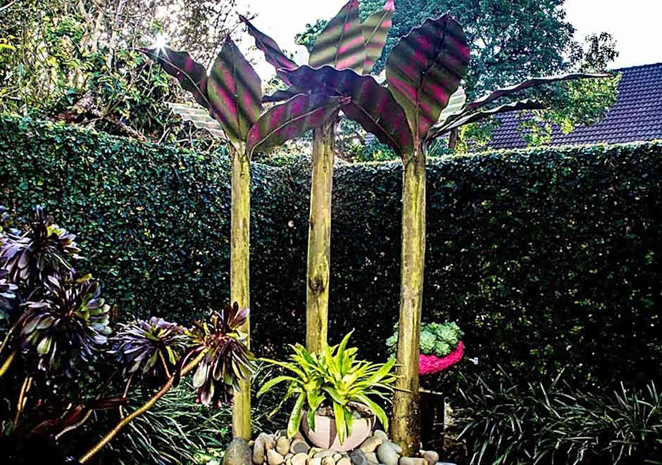 Parnell Garden Suite