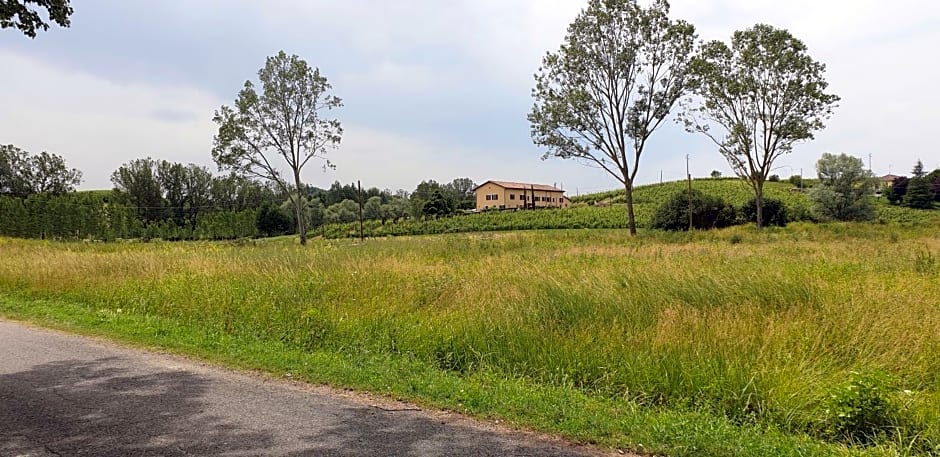 Villa Vigneto