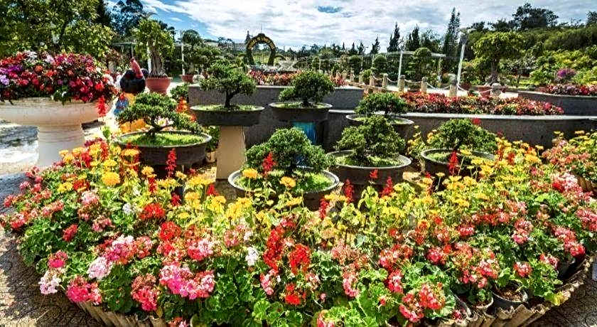 Hana Dalat Hotel