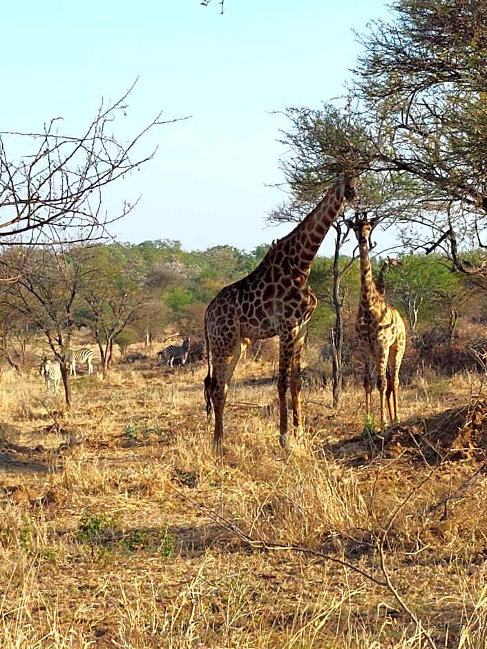 Karibu River Retreat