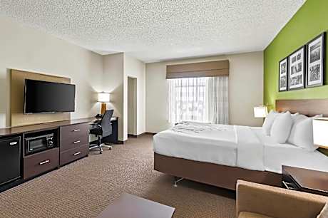 1 King Bed, Suite, No Smoking, Accessible Room