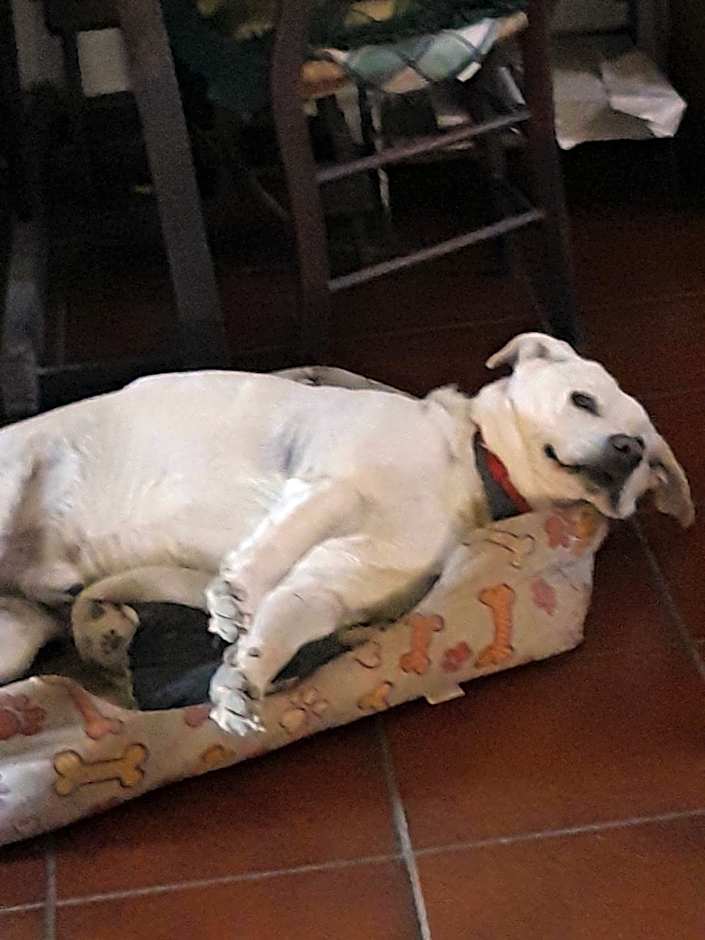 Da Franca