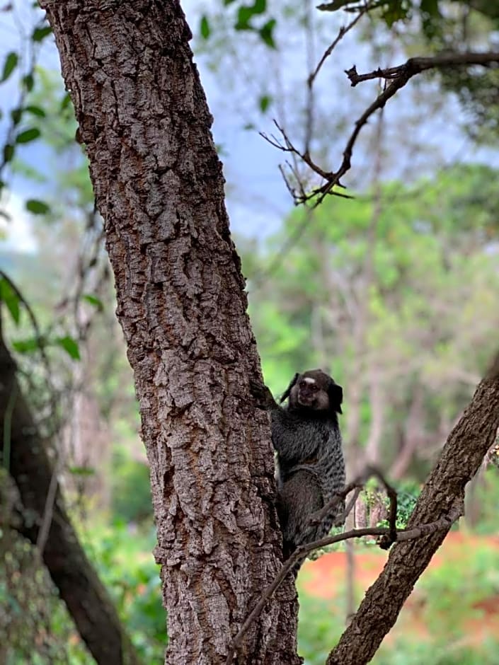 Pousada Cipó Container Chalés Privativos com lareira - Centro da cidade