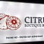 Citrus Boutique Hotel